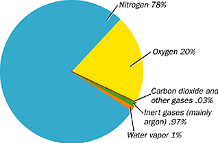 Ncert Solutions Class Science Chapter Air Around Us